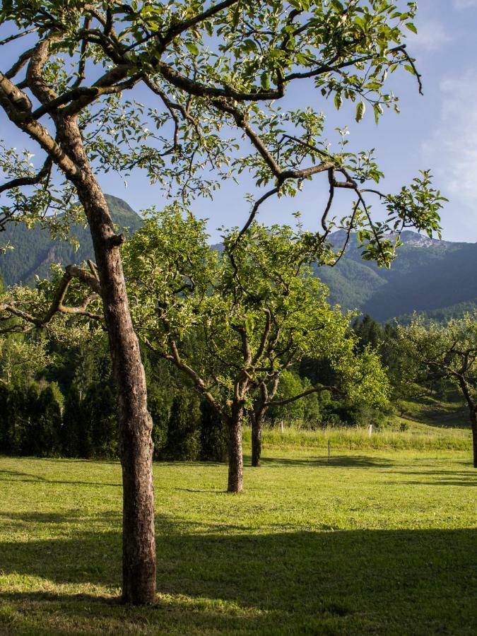 Garden Soklic * Bohinj
